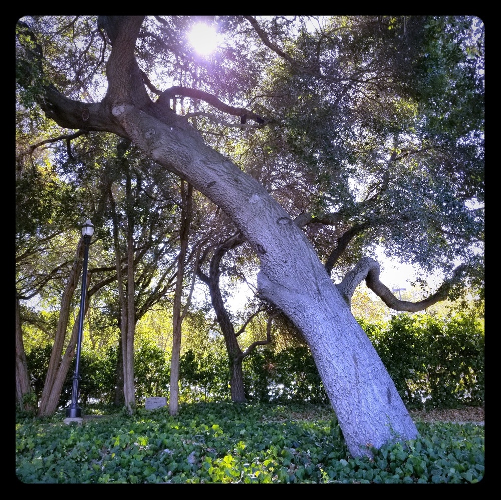 🌻Items from my closet, & also special finds.🌹